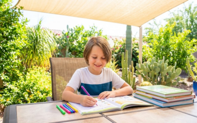 Extended School Year (ESY) Services in Arizona